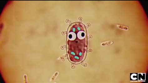 amazing world of gumball bacteria|rise of the bacteria song.